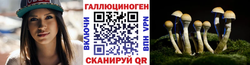 Псилоцибиновые грибы Psilocybe  где можно купить   Жуковка 